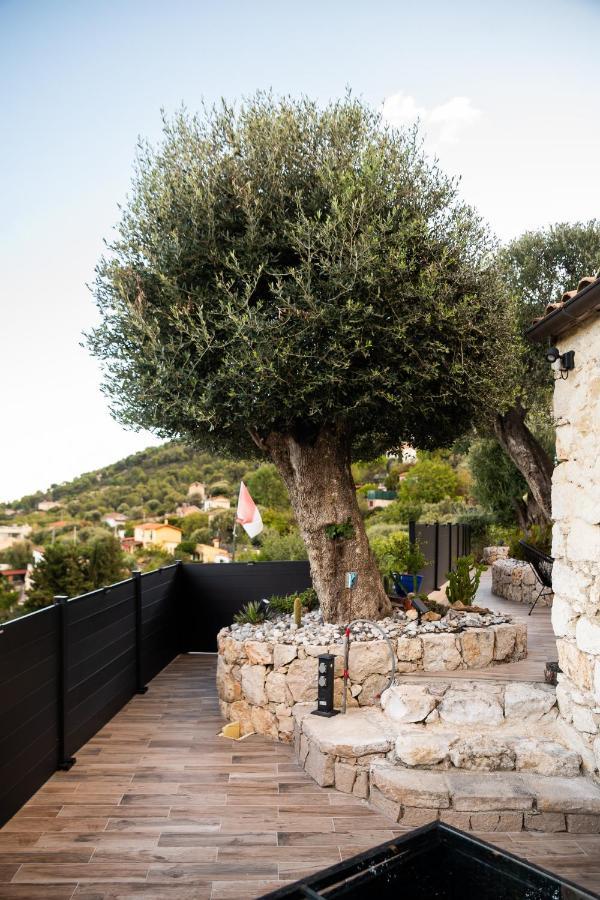 Le Petit Jardin Exotique Villa Beausoleil Exteriör bild